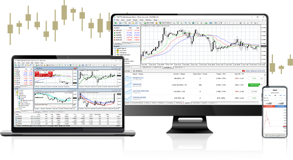 ICM Mena | Online Trading Platform | Currencies, Commodities, Stocks ...